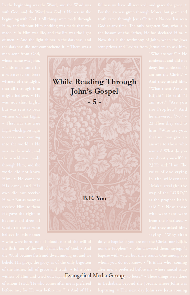 While Reading Through John’s Gospel 5